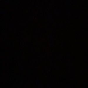 Meet your Posher, Angelina